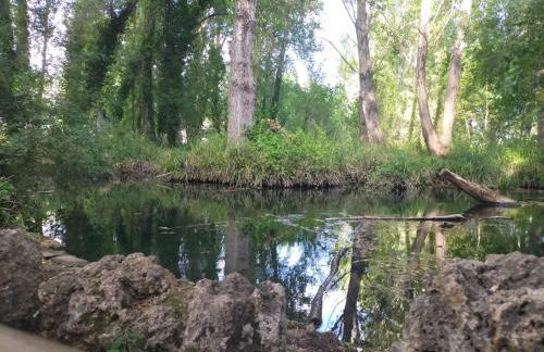 Casa Rural Nacimiento del Huéznar - Tomillo 23 - Foto 64