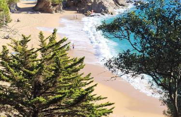 Apartment with garden and sea view Santa Cristina Blanes - Foto 46