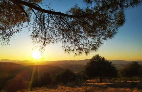 Casa Cavalli - Foto 15