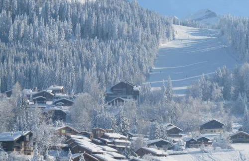 Chalet Les Trappeurs - Foto 28