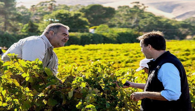 Dégustez le Barossa : Expérience de dégustation de vin - Visite en petit groupe - Photo 2