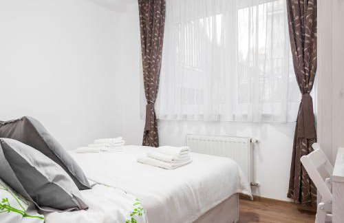 OLIVA 4 STARS - Photo 30