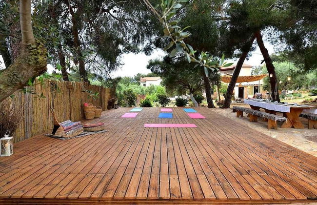 Cocoon Tent in an Olive Grove - Photo 32