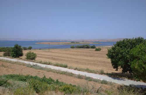 TERRA LEMNIA - Foto 71