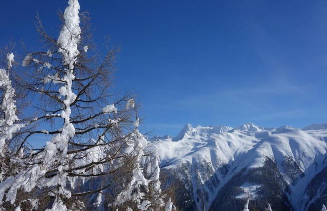 Family Stay in Aletsch Alps - Foto 23