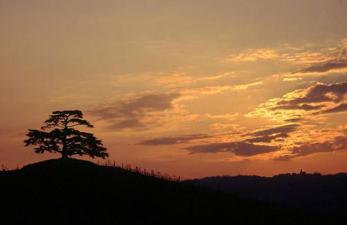 Agrisuite Il Cedro - Photo 49