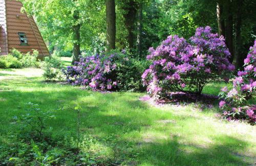 Wasserturm Putbus - Foto 22