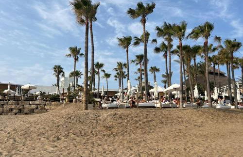 Estrelicia - Photo 51