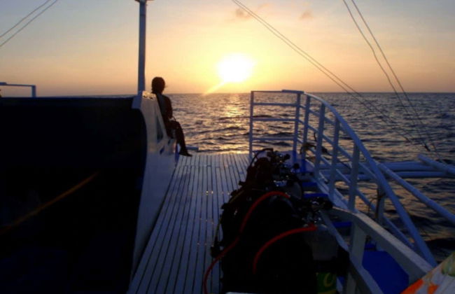 Plongée de nuit à Malapascua - Photo 2