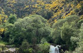 O refugio do Mineiro - Foto 10
