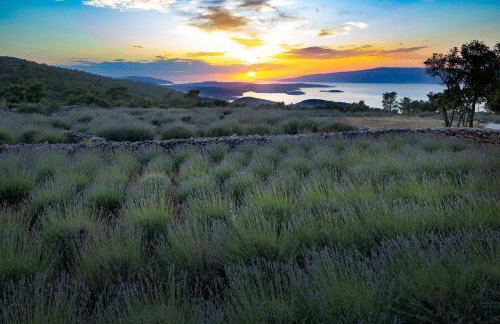 Villa Humac Hvar - Photo 3