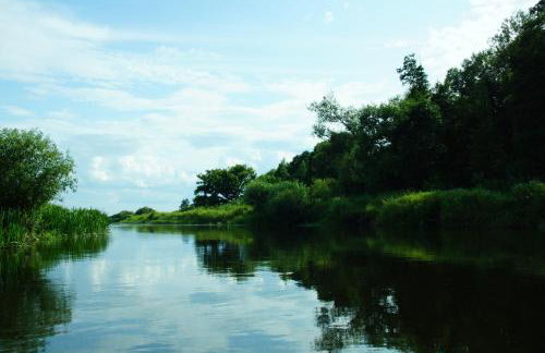 U Wileńskich - Foto 21