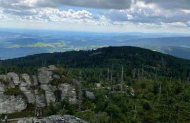 Große Ferienwohnung Hundertwasser am Dreisessel in Altreichenau - Foto 42