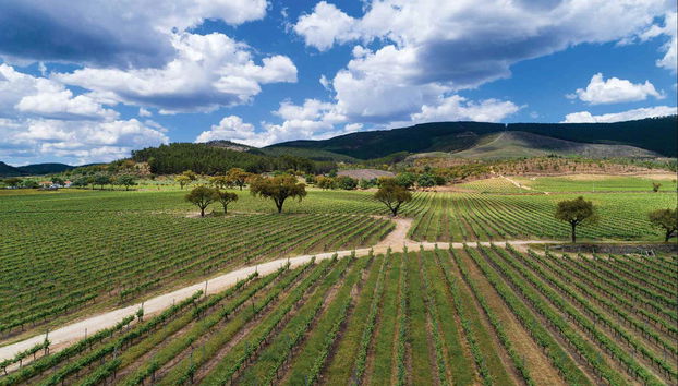 Tour in Portalegre - Foto 2