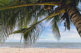 Apartamento Aconchego de Carapibus - Photo 25