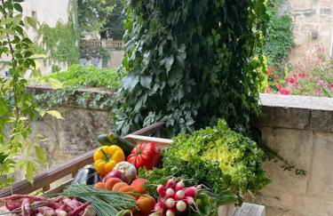 Maison de ville provençale Tarascon 13150 - Foto 19