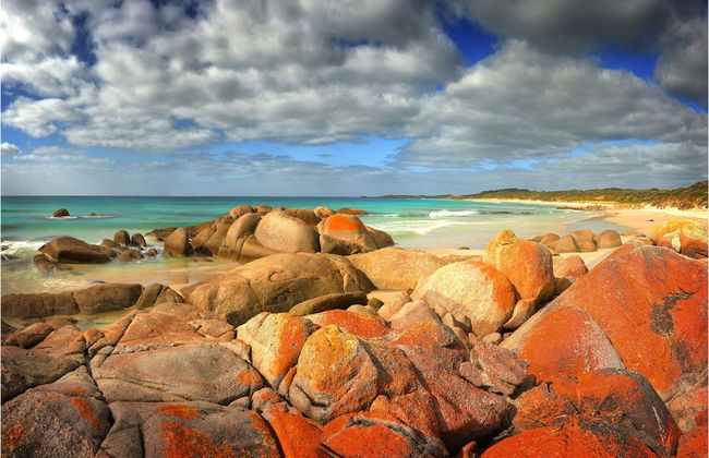 King Island Accommodation Cottages - Photo 40