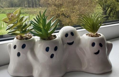 Betty's Farm Cottage - Foto 29