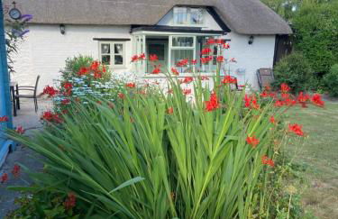 Thatch Cottage, East Boldre nr Beaulieu and Lymington - Foto 23