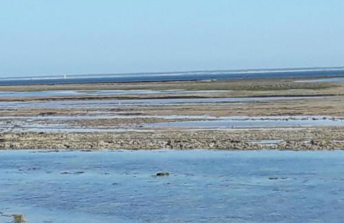 La maison du facteur - Foto 19