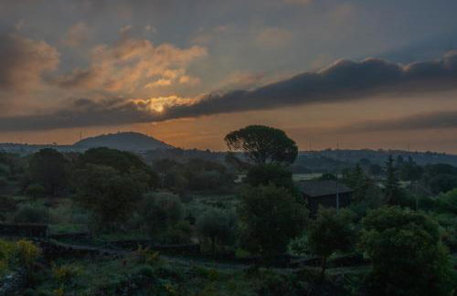 Casa Museo A' Rina - Foto 14