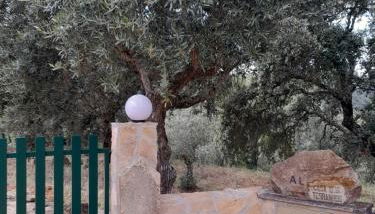 Casa dos Terranhos - Foto 5