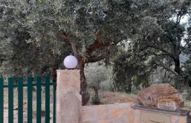 Casa dos Terranhos - Foto 5