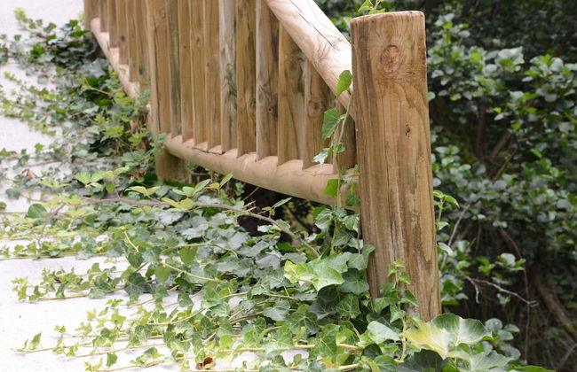 El Rincón de Limés - Foto 21