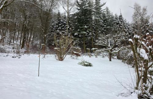 Ferienwohnung "Saba" - Foto 29