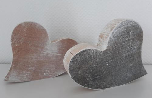 charmante Ferienwohnung Pirmin, Nähe des Europa-Park, im Schwarzwald - Foto 14