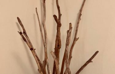 Top Stay - Lakes, Mountains, Valley & More - Photo 24