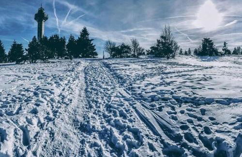 Fewo Maja - Photo 21