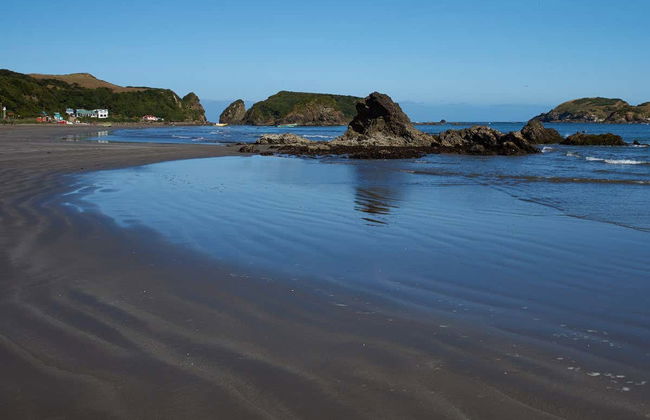 Isla de Chiloé: Chacao, Ancud y pingüinos de Puñihuil - Foto 4