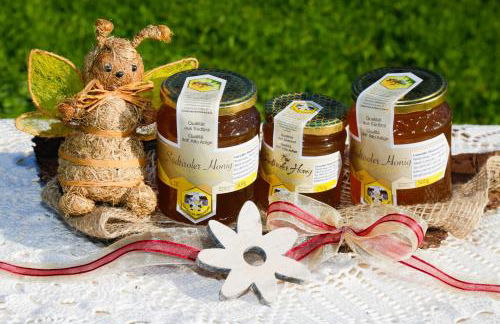 Bauernhof Mairing - Foto 40