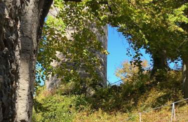 Waldfrieden Ferienhaus mit SAUNA - Foto 29