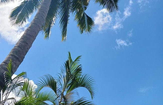 Lake Villa Near Udawalawe National Park - Foto 17