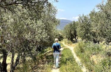 Maison Théia, entre mer et montagne Samonas - Foto 30