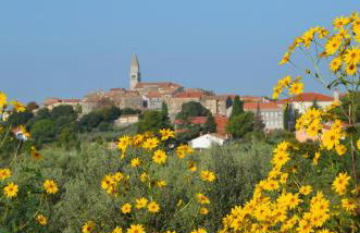 Villa Leopoldo by Istrian Country Houses - Photo 11