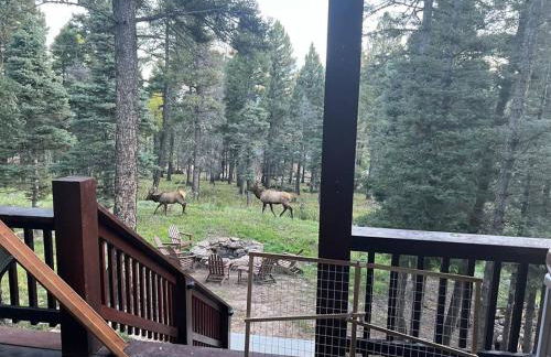 Carpe Diem Home - Foto 18