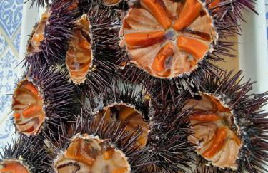 Home Belvedere - Foto 26