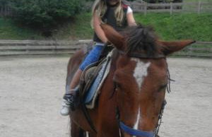 Sul cucuzzolo - Foto 68