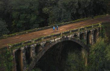 Pana House - Photo 54