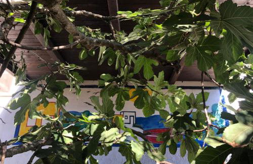 Accogliente Bilocale Linosa - Foto 34