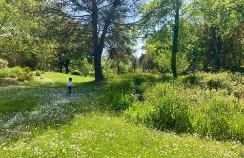 Les Restanques IRIS 2124 - Foto 40