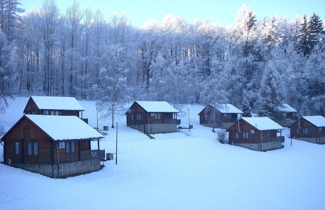 Zloty Potok Resort - Foto 46