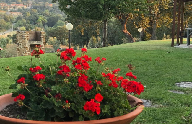 Country House Poggio Aione - Foto 75