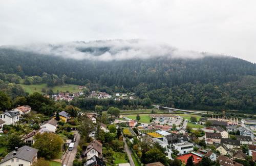Ferienwohnung Kinzigtalblick - Foto 23