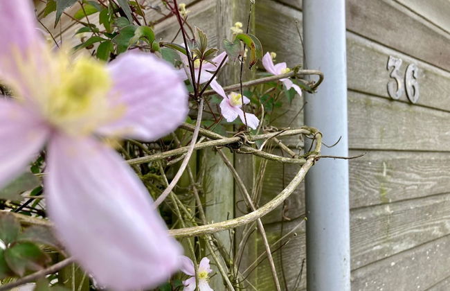 4 Pers House Cecil With own Fishing Spot on a Dutch Chanel - Foto 14