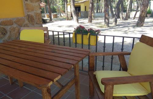 Rural Arco Iris - Foto 25