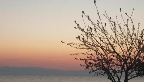 kristina family home - Foto 4